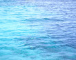 海