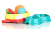 Pet accessories isolated on white