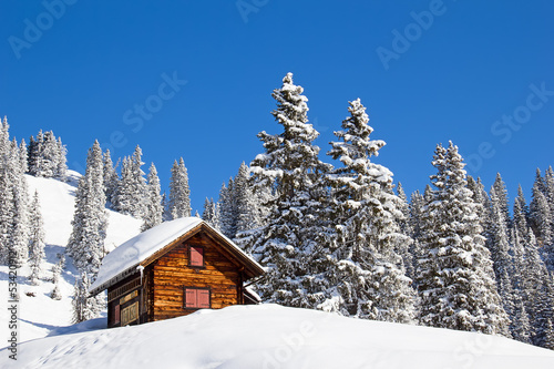 Photo: Winter in the alps Winter in the alps