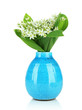 Beautiful mountain daffodils in  color vase, isolated on white