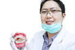 Asian dentist show teeth braces on white background