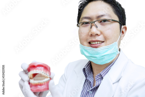 Photo: Asian dentist show teeth braces on white background Asian dentist show teeth braces on white background