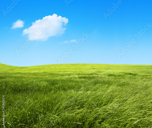 Photo: paisaje de campos de hierba verde.Fondo de naturaleza paisaje de campos de hierba verde.Fondo de naturaleza