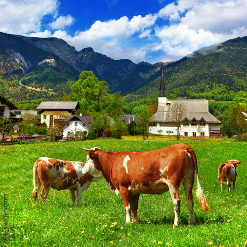 Photo: Alpine scenery - green meadows Alpine scenery - green meadows
