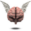 Illustration: Winged Brain Winged Brain