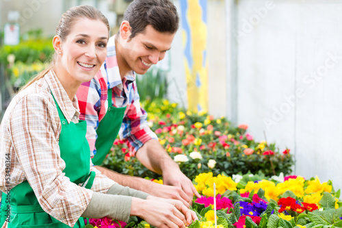 Photo: Gardener in market garden or nursery Gardener in market garden or nursery