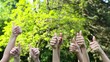 Many thumbs up congratulate a winner