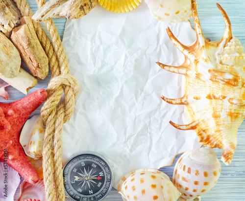 Photo: sea shells on blue background sea shells on blue background