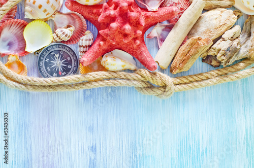 Photo: sea shells on blue background sea shells on blue background