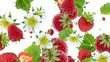 Strawberries background Video (with alpha from 0:15 to 0:30)