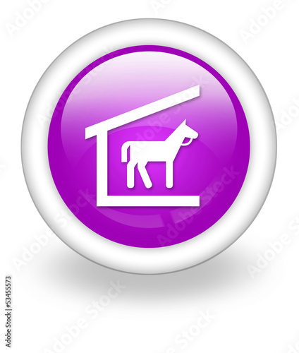 Illustration: Violet Icon "Stable" Violet Icon "Stable"