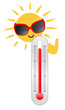 Vector: Thermometer Thermometer