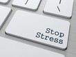 Stress Concept. Stress Concept.