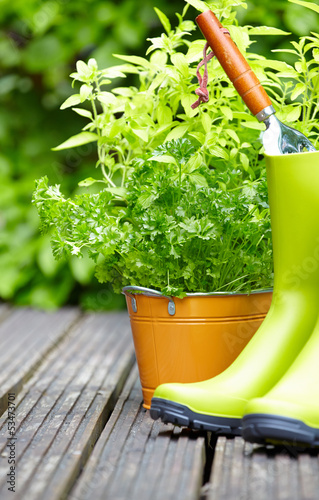 Photo: Gardening tools Gardening tools