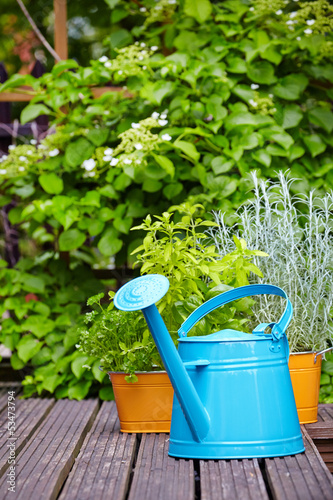 Photo: Outdoor gardening tools Outdoor gardening tools