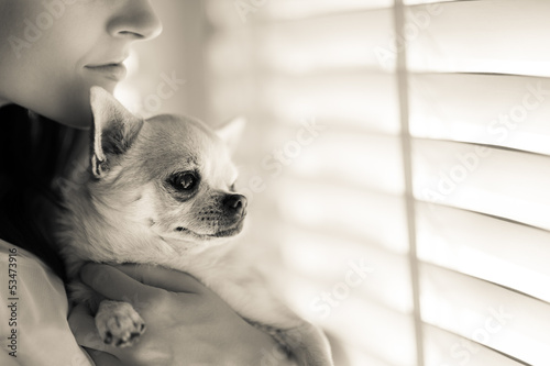 Photo: Woman and chihuahua Woman and chihuahua