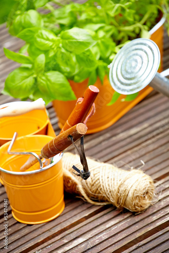 Photo: Fresh herbs with gardening tools Fresh herbs with gardening tools