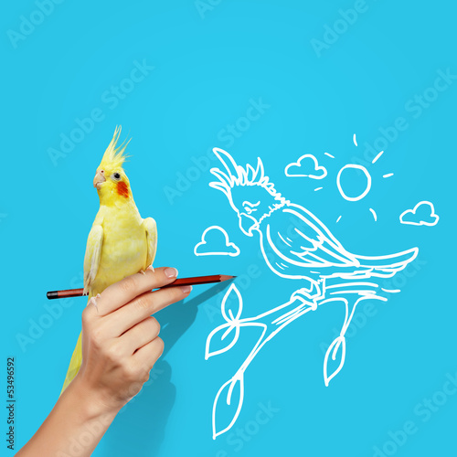 Photo: Parrot sitting on hand Parrot sitting on hand