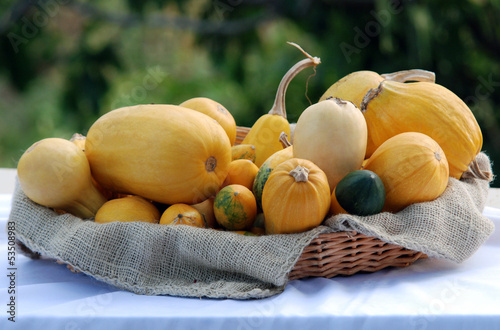Photo: Zucchini Zucchini