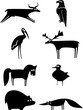 Set of Funny Animals Set of Funny Animals