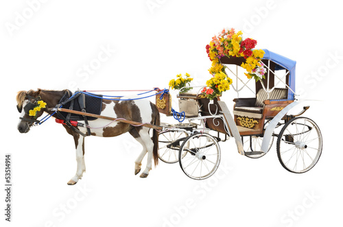 Photo: Horse Carriages Horse Carriages