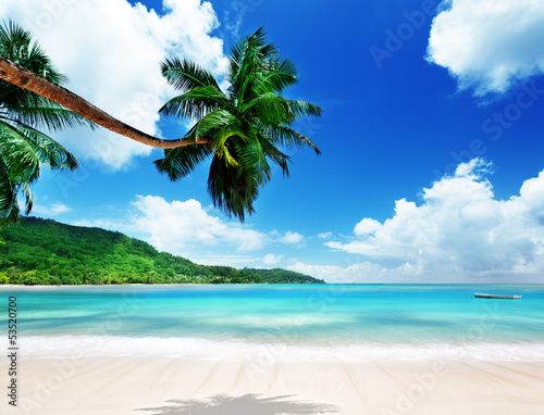 Photo: beach on Mahe island in Seychelles beach on Mahe island in Seychelles