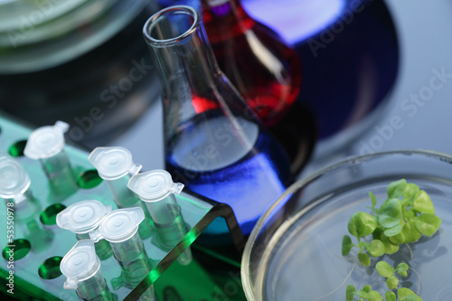 Photo: lab lab