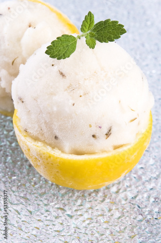 Photo: lemon sorbet with lavender in cups of lemon lemon sorbet with lavender in cups of lemon