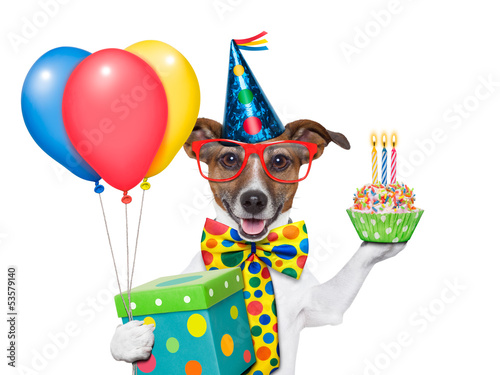 Photo: birthday dog birthday dog