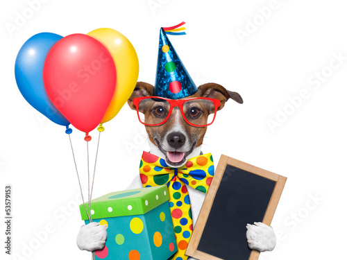 Photo: birthday dog birthday dog