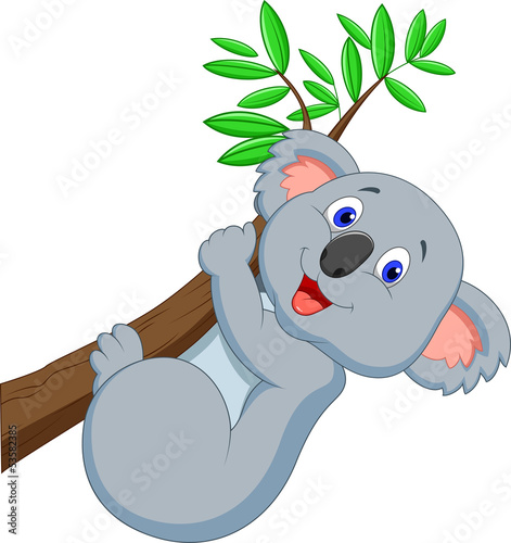 Vector: Cute koala cartoon Cute koala cartoon