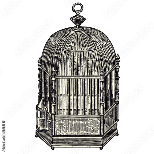 Vector: Cage à oiseaux Cage à oiseaux