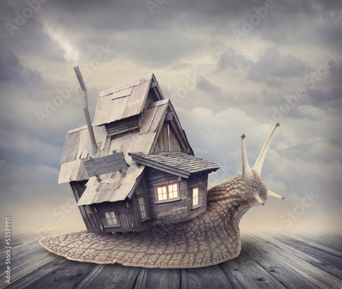 Photo: Snail house Snail house