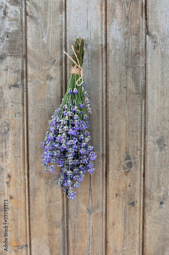 Photo: Lavender Lavender