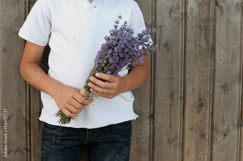 Photo: Lavender in hands Lavender in hands