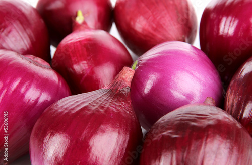 Photo: Purple onion close-up Purple onion close-up