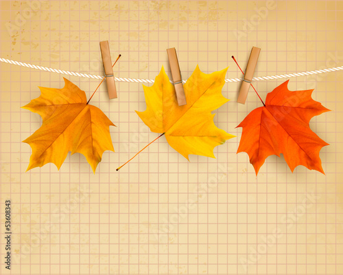 Vector: Autumn background with leaves. Back to school. Vector illustrati Autumn background with leaves. Back to school. Vector illustrati