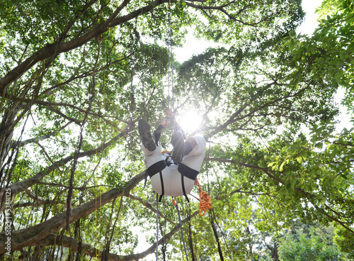 Photo: climbing high tree climbing high tree
