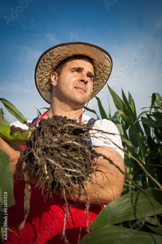 Photo: Farmer in field Farmer in field