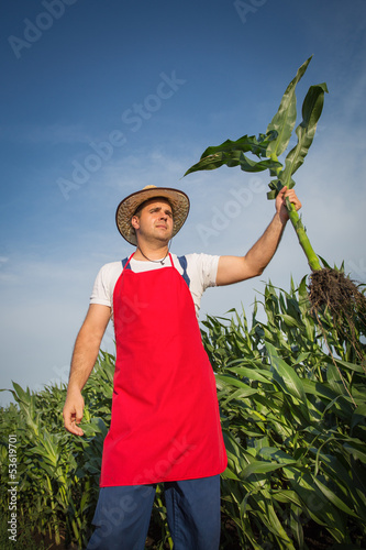 Photo: Farmer in field Farmer in field