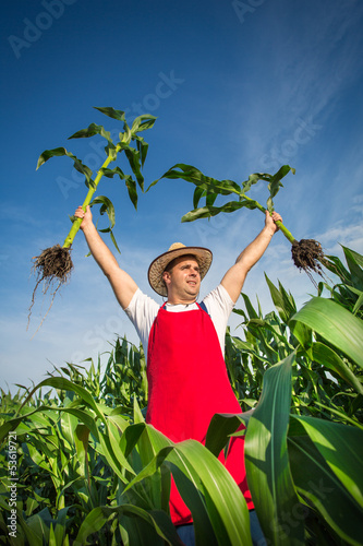 Photo: Farmer in field Farmer in field