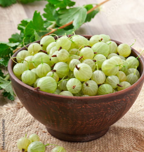 Photo: green gooseberries in a ceramic bowl green gooseberries in a ceramic bowl