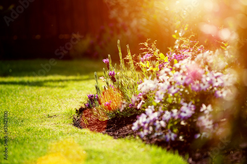 Photo: summer sunny garden summer sunny garden