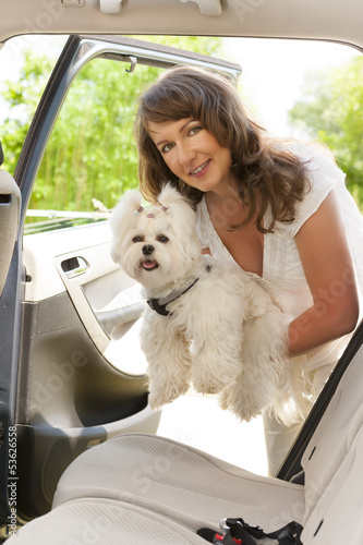 Photo: Getting dog into a car Getting dog into a car