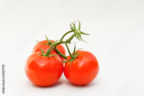 Photo: Tomaten Tomaten