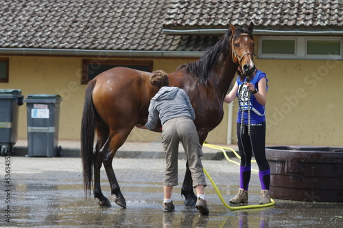 Photo: cheval a la douche cheval a la douche