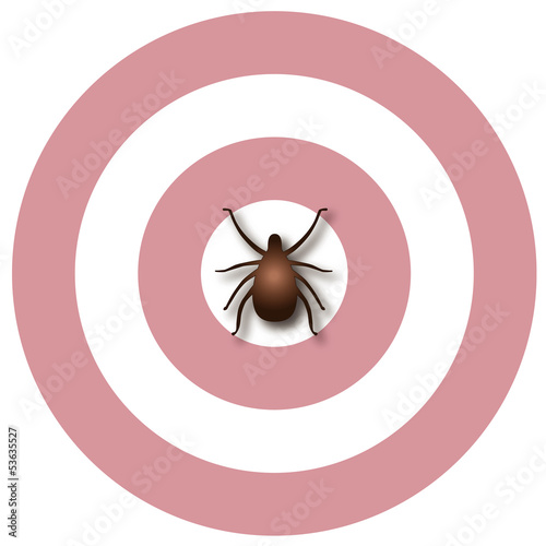 Illustration: Lyme Disease, Tick, Bulls-eye Rash. EPS10 Lyme Disease, Tick, Bulls-eye Rash. EPS10