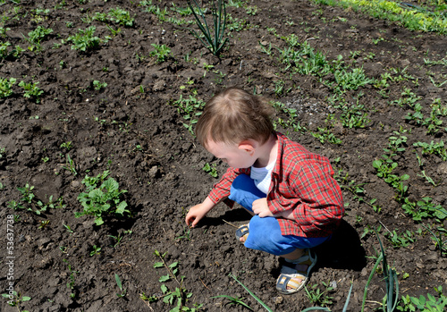 Photo: Little boy picking up something off the ground Little boy picking up something off the ground