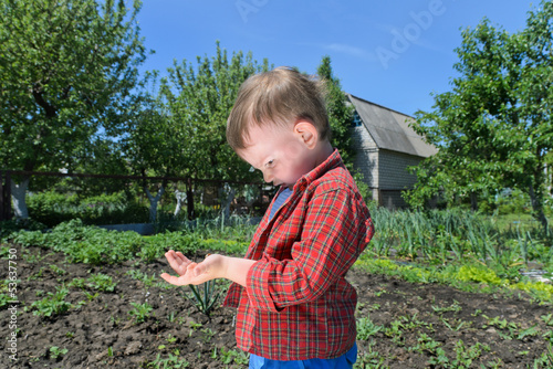 Photo: Curious little boy playing with an insect Curious little boy playing with an insect