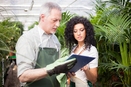 Photo: Workers examining plants Workers examining plants